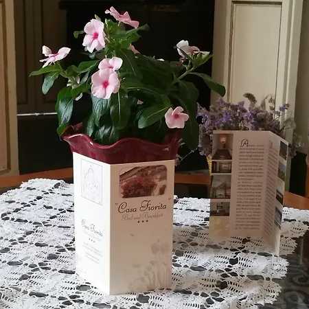 La Casa Fiorita Apartment Noto